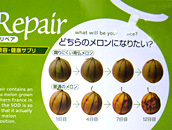 �y�ʐ^�z���������y�A