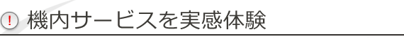 @T[rX̌