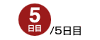 5/5