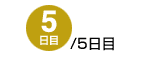 5/5