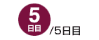 5/5