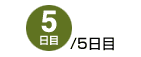 5/5