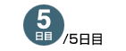 5/5