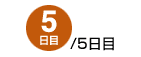 5/5