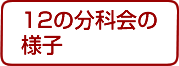 12̕ȉ̗lq