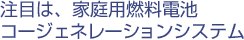 ڂ́AƒpRdrR[WFl[VVXe