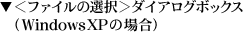 <t@C̑I>_CAO{bNX