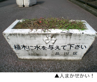 ͤޤ