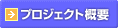 �v���W�F�N�g�T�v